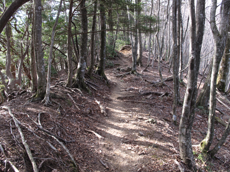 20190108hike (236)